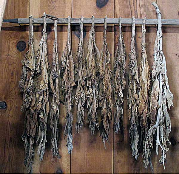 AuGlaize Village & Farm Museum Dried Tobacco AuGlaize Village & Farm Museum Dried Tobacco