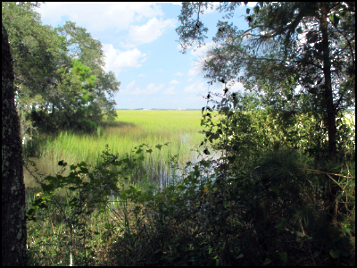 Charles Town Landing Ashley River