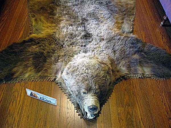 Curwood Castle Bear Rug