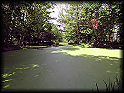 Hooge Crater Belgium