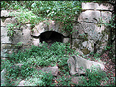 Coke Ovens in Nuttallburg