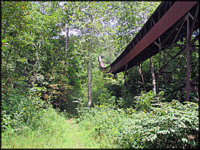 The conveyor for the Nuttallburg Tipple goes up the mountainside. If you're feeling ambition, you can hike to the top.