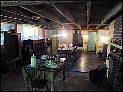 Spring Hill Historic Home Basement