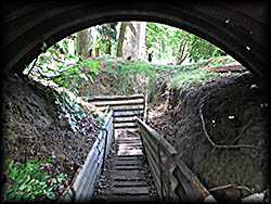 Reconstructed Trench at Hooge Crater Belgium