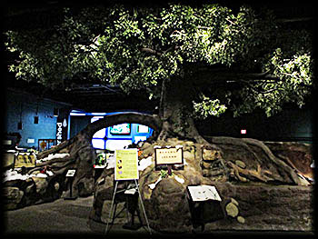 William McKinley Presidential Library & Museum Ecology Island